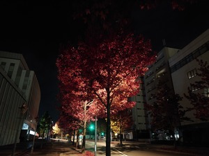 20221104_022920~2.JPG