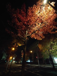 20221104_024221~2.JPG