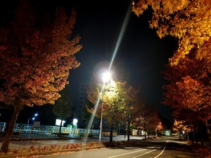 20221104_025036~2.JPG