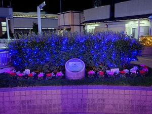 20221117_235822~2.JPG