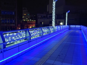 20221117_235847~2.JPG
