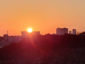 20221119_062813~2.JPG