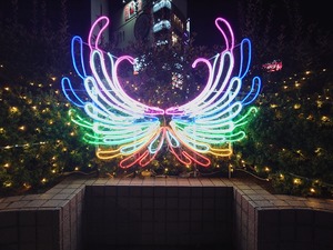 20221119_225423~2.JPG