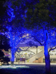 20221119_230413~2.JPG