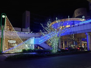 20221119_231232~2.JPG