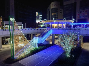 20221119_231317~2.JPG