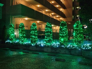 20221124_214227~2.JPG