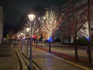 20221124_235140~2.JPG