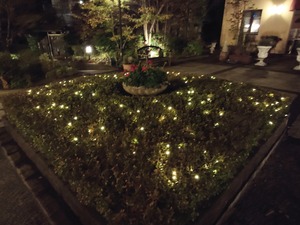 20221125_203218~2.JPG