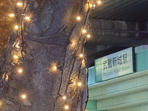 20221125_205209~2.JPG