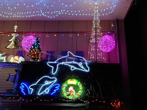 20221203_215457~2.JPG
