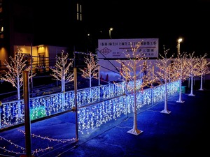 20221206_200922~2.JPG