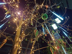 20221206_201232~2.JPG