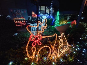 20221207_201440~2.JPG