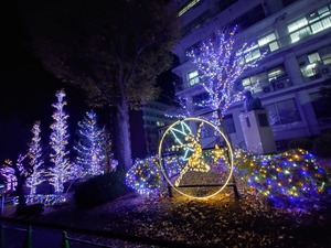 20221207_223000~2.JPG