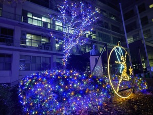 20221207_223158~2.JPG