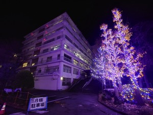 20221207_223605.JPG