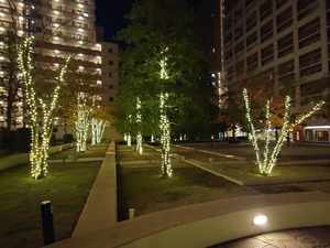 20221209_175436~2.JPG