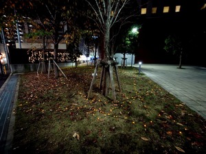 20221209_181450~2.JPG