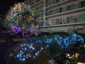20221214_224306~2.JPG