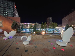 20221219_204321~2.JPG