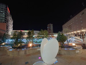 20221219_204527~2.JPG