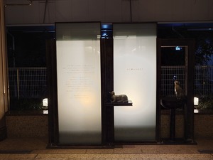 20221219_205643~2.JPG