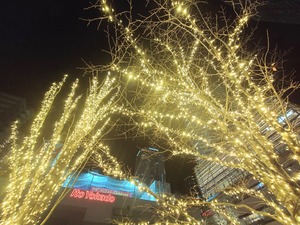 20221219_215500~2.JPG