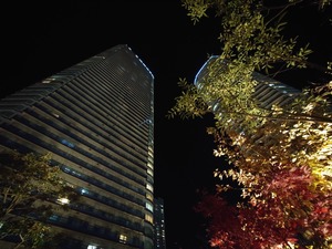 20221219_223241~2.JPG