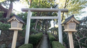 DSC_0446~2.JPG