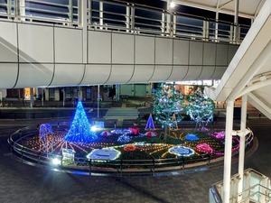 20221230_191019~2.JPG
