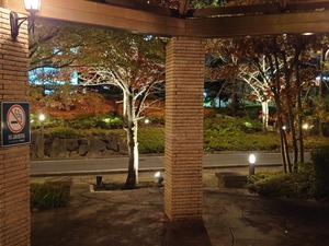 20221219_223333~2.JPG