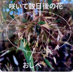 20230104_143241~3.JPG