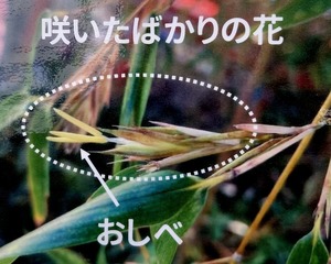 20230104_143245~3.JPG