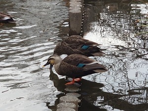 20230119_145003~2.JPG