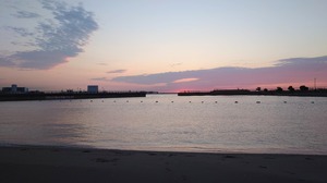 20230805_045143~2.JPG