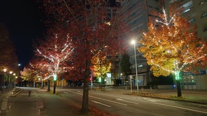 20231120_234007~2.JPG