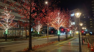 20231120_234019~2.JPG