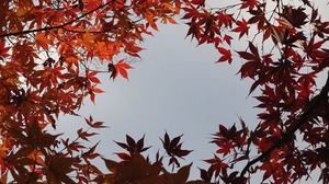 20231127_145016~2.JPG