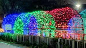 20241209_232228~2.JPG