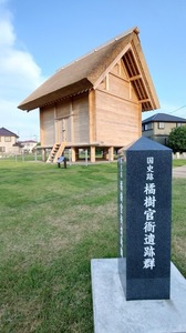 20240524_055043~2.JPG