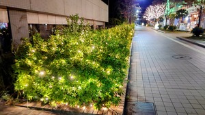 20241209_231029~2.JPG