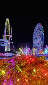 20250110_195640~2.JPG