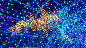 20250217_204450~3.JPG