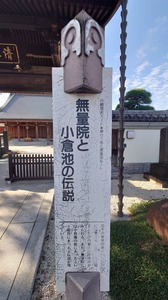 DSC_0152~2.JPG