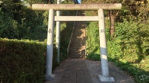 DSC_0463~2.JPG