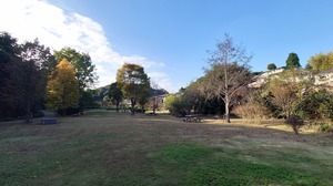 DSC_0495~2.JPG