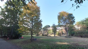 DSC_0510~2.JPG