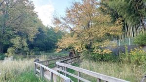 DSC_0548~2.JPG