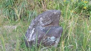 DSC_0551~2.JPG